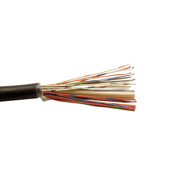 CW1308B Internal/External Voice Cable