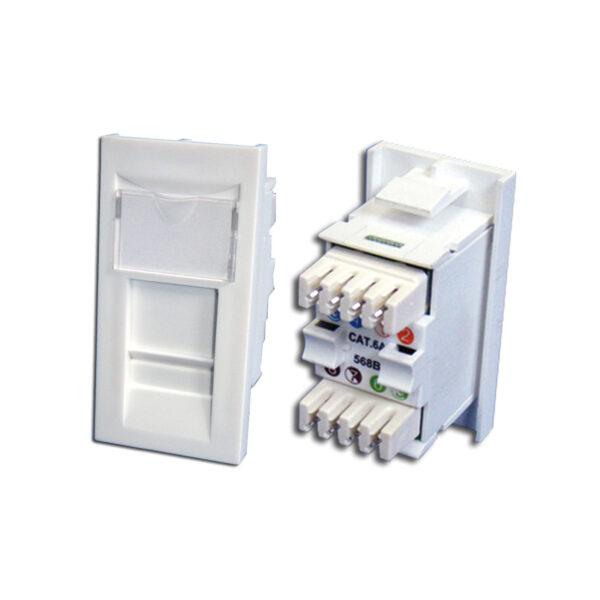 Cat 6 UTP Module Plus showing front and rear