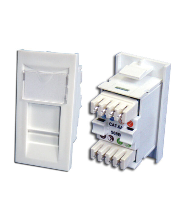 Cat 6 UTP Module Plus showing front and rear